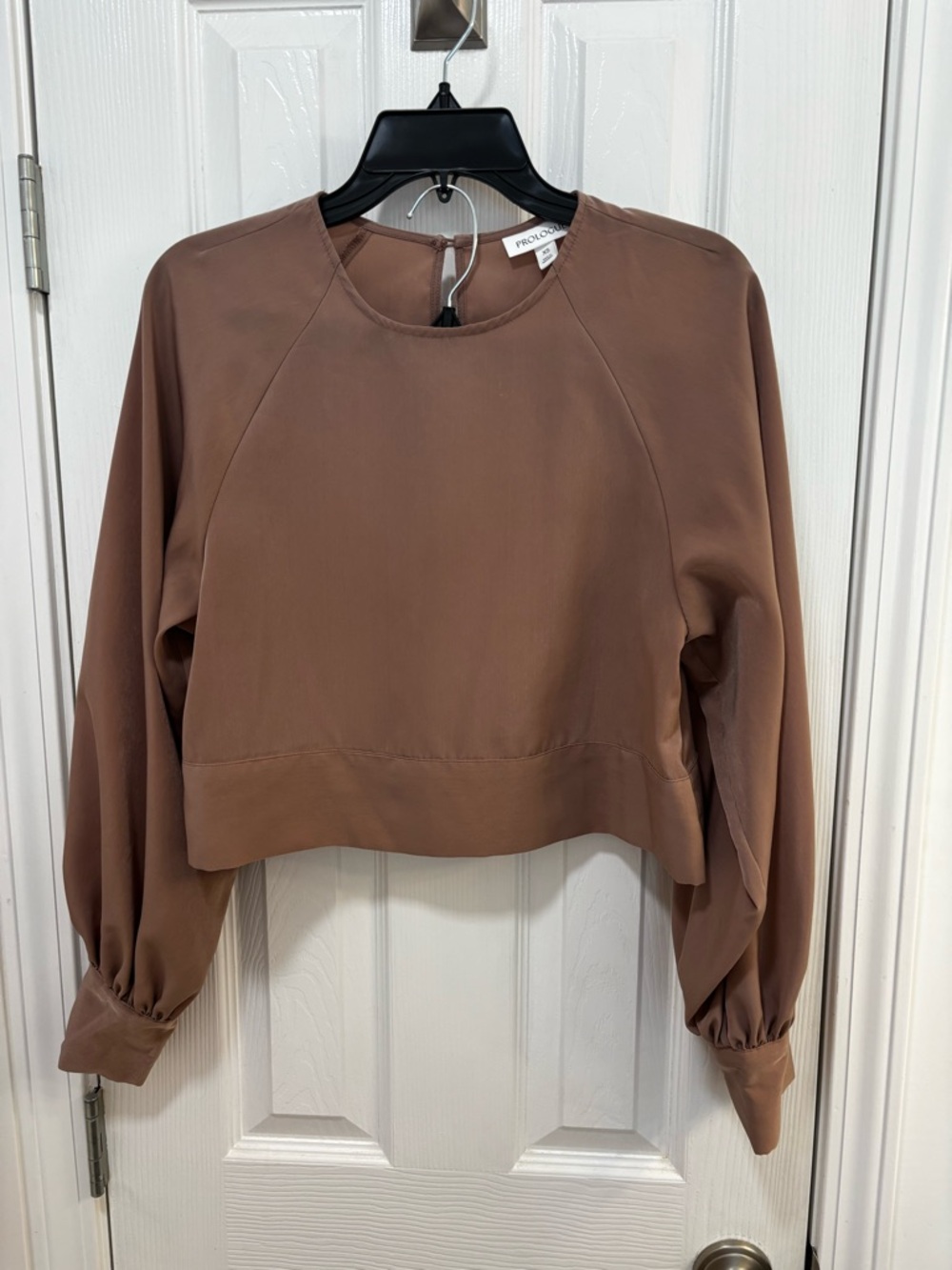 Prologue Mauve-Brown Cropped Balloon-Sleeve Top